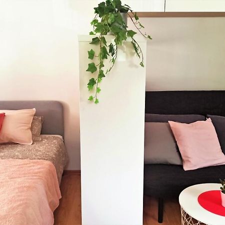 Apartament Malinowy Swietoduska 12 卢布林 外观 照片